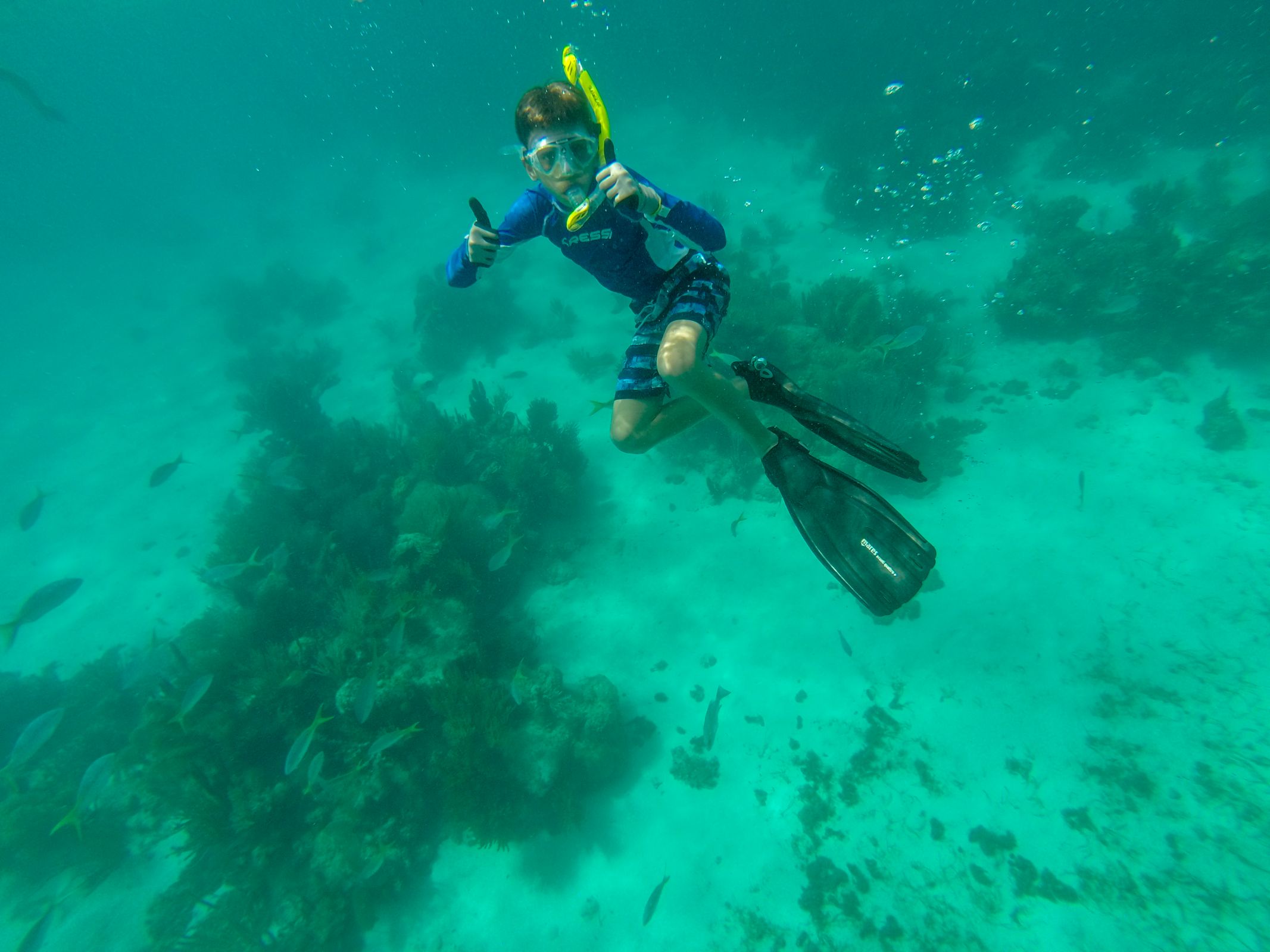 John Pennekamp State Park Key Largo Snorkelling
